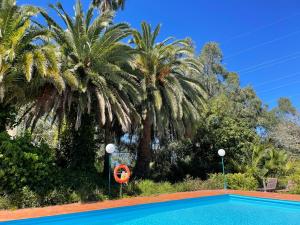 The swimming pool at or close to Dúplex de invitados en medio del bosque