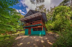 a building in the middle of a forest at Dolphin Quest Jungle Lodge in Piedras Blancas
