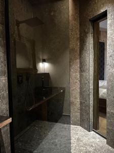 a bathroom with a glass shower and a mirror at Business Apartment inkl Frühstück in Seiwerath