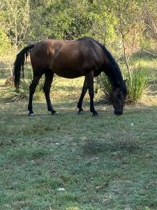 Φωτογραφία από το άλμπουμ του Hacienda σε Lorgues