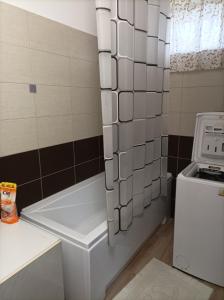 Kiskastély garzon, saját fürdőszobával és saját konyhával 4060 Balmazújváros, Batthyány utca 108 kép - 3