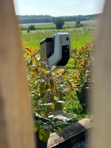 Vrt ispred objekta Tiny Cosy