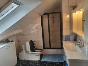 a bathroom with a toilet and a sink at House Violeta in Nida +18 photos