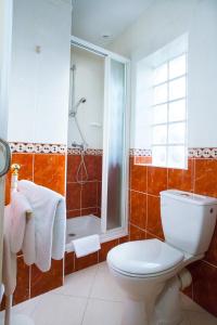 a bathroom with a toilet and a shower at Logis Le Commerce in Guichen