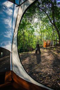 a view of the inside of a tent in the woods at Casa Aragón Ortíz in Garita