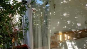 Balkón nebo terasa v ubytování Votre chambre avec salle de bain privée et balcon végétal à Lisbonne Amoreiras - Your Room with private bathroom and balcony in Lisbon Amoreiras