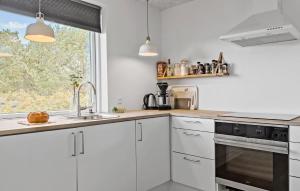 Dapur atau dapur kecil di 3 Bedroom Nice Home In Vestervig +7 gambar