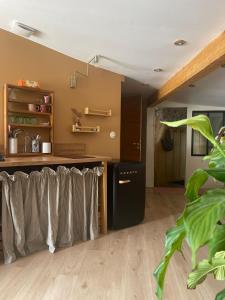 une cuisine avec un comptoir et un plan de travail dans l'établissement Studio Cosy, à Castanet-Tolosan