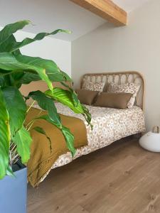 - une chambre avec un lit doté d'une grande plante dans l'établissement Studio Cosy, à Castanet-Tolosan