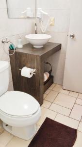 een badkamer met een wit toilet en een wastafel bij Terraza Studios in Cabo San Lucas