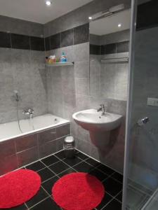 a bathroom with a sink and a shower with red rugs at Ferienwohnung Familie Kreckel in Weinheim