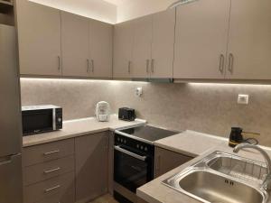 Kuchyň nebo kuchyňský kout v ubytování Irene Luxe Loft + 6 fotografií