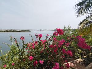 a bunch of pink flowers next to a body of water at Chez Stéphane in Fimela