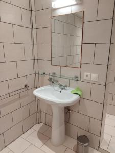 a bathroom with a sink and a mirror at Chez Stéphane in Fimela
