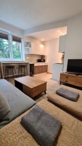 a room with a kitchen and a living room at Apartmán BB-Centrum2 in Banská Bystrica