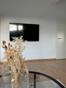 Μια τηλεόραση ή/και κέντρο ψυχαγωγίας στο Family and Business Apartments Mannheim Three