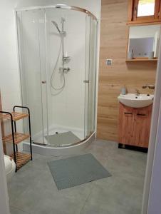 a bathroom with a shower and a sink at Villa Stare Osieczno in Stare Osieczno