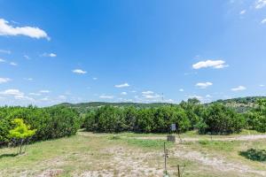 an open field with trees and a blue sky at Appian Way Oliva Cottage in Fredericksburg