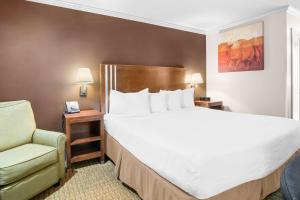 Ένα ή περισσότερα κρεβάτια σε δωμάτιο στο Best Western Skyline Motor Lodge +18 φωτογραφίες