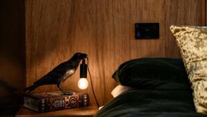 a bird sitting on a book next to a lamp at Piccolo Lane Daylesford in Daylesford