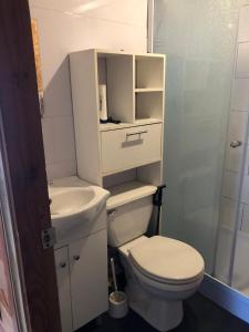 Koupelna v ubytování Cabaña a pasos de la costanera con estacionamiento