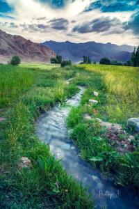Gallery image of Old Likir Traditional Farm Stay in Leh