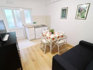 Kuchyň nebo kuchyňský kout v ubytování Apartments Nodilo - Standard One Bedroom Apartment with Balcony and Sea View Apt 2