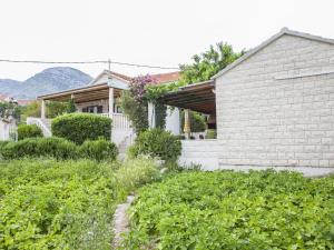 ボルにあるApartments Magdalena - Bungalow with terrace A1の庭のある家