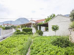 ボルにあるApartments Magdalena - Bungalow with terrace A1の向かいに野菜園がある家