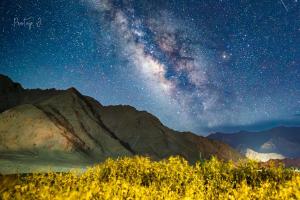 Gallery image of Old Likir Traditional Farm Stay in Leh