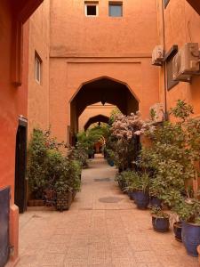 Fotografie z fotogalerie ubytování RIAD Le shams v Marrákéši