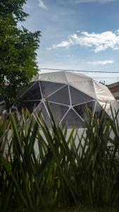 Una cúpula de cristal en un jardín con algunas plantas. en Glamping Cholula, en Cholula