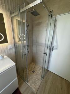 a shower with a glass door in a bathroom at Maison de vacances in Le Teich +14 photos