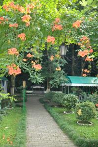 Giardino di Hotel Captain