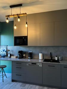 Η κουζίνα ή μικρή κουζίνα στο LTS RENT Luxury & Comfortable PREMIUM Villa +27 φωτογραφίες