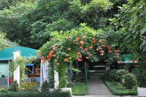 Giardino di Hotel Captain