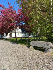Garður fyrir utan Pilemosegaard