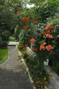 Giardino di Hotel Captain