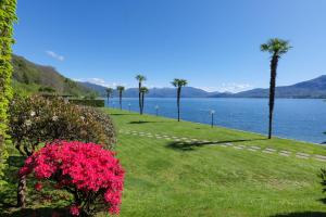 a park with flowers and palm trees and a body of water at Yachting Residence in Ghiffa