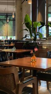 ウランバートルにあるZuut hotelの鉢植えのレストラン