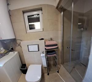 une petite salle de bain avec douche et toilettes dans l'établissement Sidka & Adam, à Liptovský Ján 14 autres photos