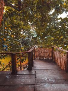 a wooden bridge in front of a tree at Sipi Falls Lodge in Sipi