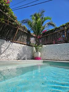 a swimming pool with a palm tree next to a fence at Mbaliparadise Guest Lodge UNGUJA in Jambiani