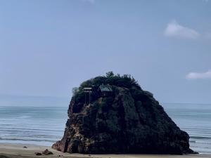 uma pequena ilha no meio de uma praia em RITA Izumo Hirata em Izumo