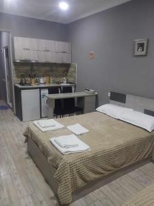 Η κουζίνα ή μικρή κουζίνα στο Mtis Kheoba Apartment