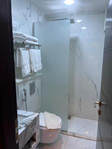 Koupelna v ubytování Golden Light Aqaba Hotel فندق جولدن لايت العقبة