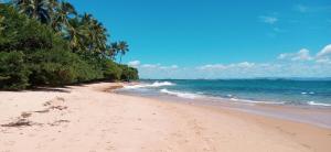 a sandy beach with palm trees and the ocean at Casinha Mandala 2 - Taipu de Fora in Taipu