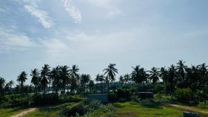 a group of palm trees in a field with a sky at Auro studio home in Pūrnānkuppam