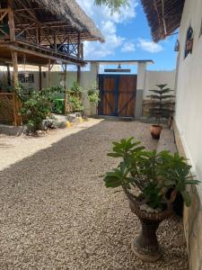 a courtyard with a plant in a vase next to a building at Villa Raffaele B&B in Nungwi
