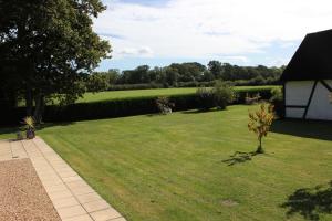 a yard with a small tree in the grass at The Lodge in Storrington